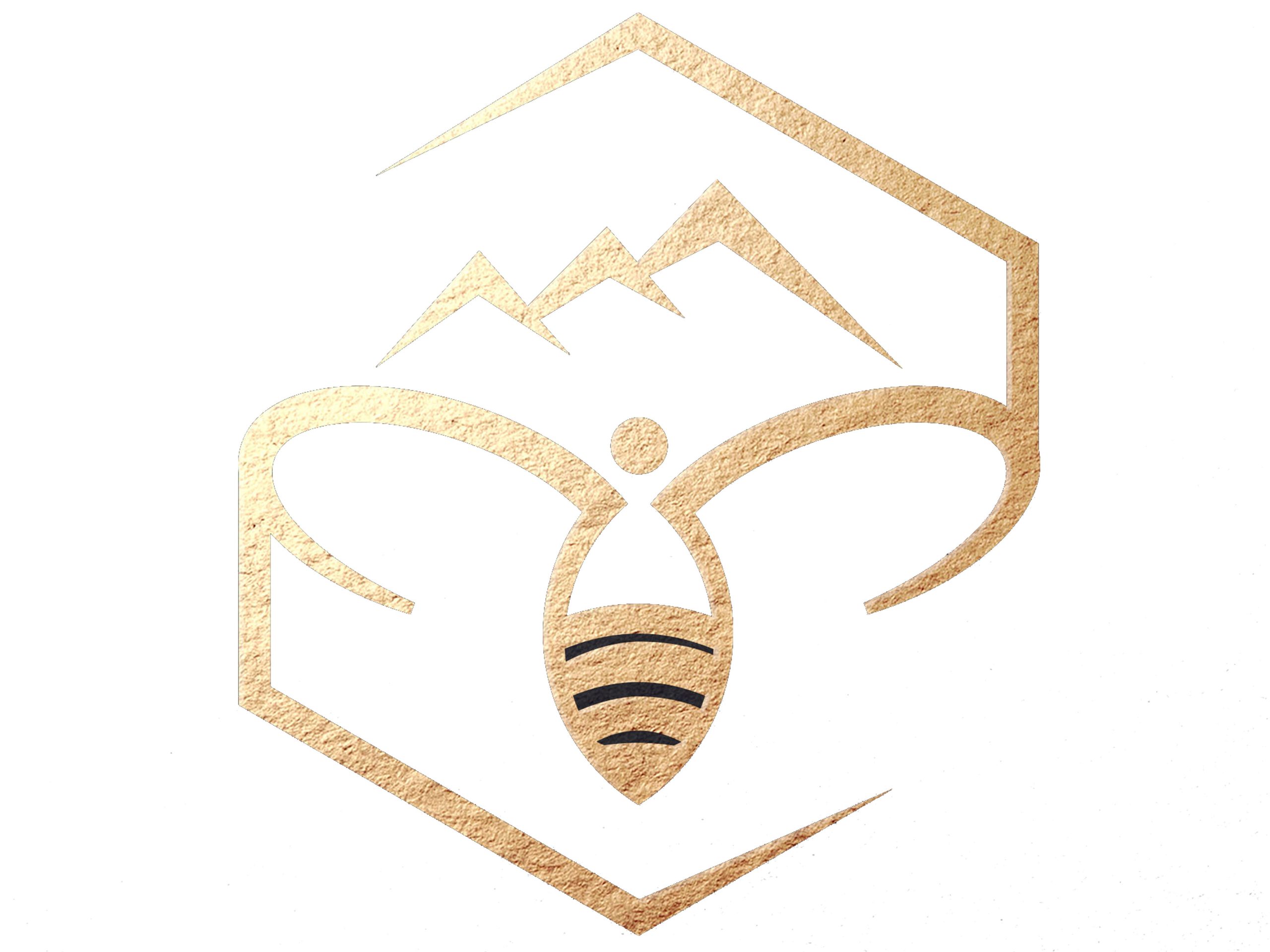 mad-honey-logo