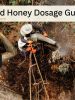 Mad Honey Dosage