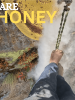 mad honey