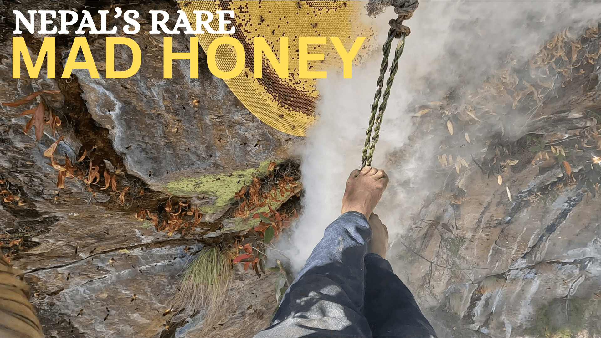 mad honey