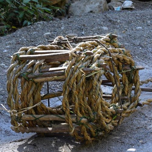 ladder for honey hunting